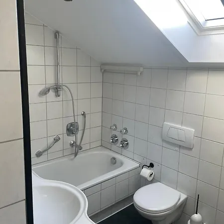 Lichtdurchflutete Dachgeschoss-wohnung Mit Grossem Balkon *