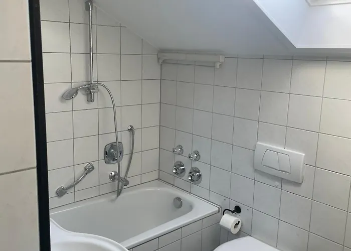 Lichtdurchflutete Dachgeschoss-wohnung Mit Grossem Balkon *